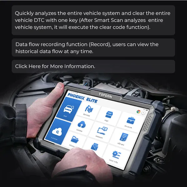 Phoenix Elite - Image 7